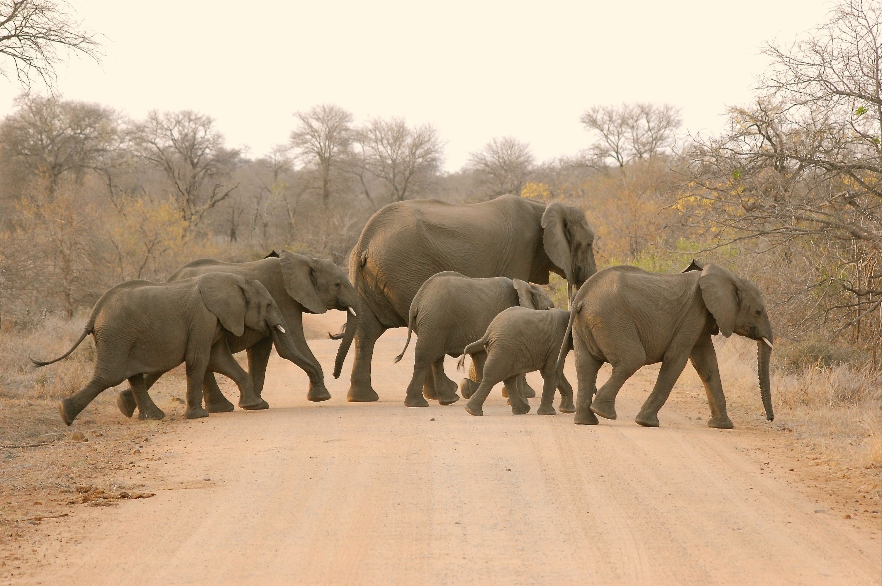 Family Adventure Destination