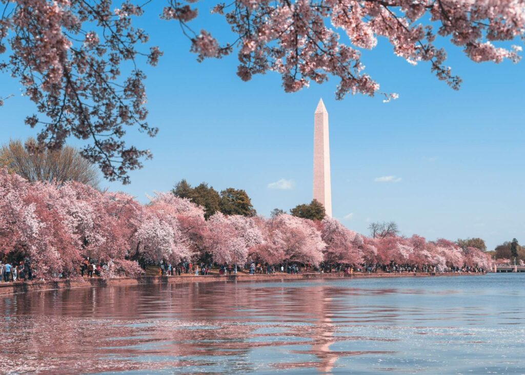 Affordable Spring Break - Washington DC